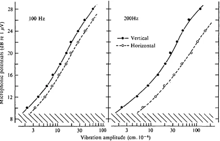 figure. The recordings arehorizontal and vertical vibrations from the same electrode position