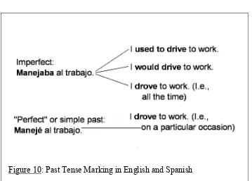Figure 10: Past Tense Marking in English and Spanish 