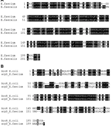 Fig. 1. Amino acid sequence homology. a) 67% sequence identity between E. faecium AcpD and E