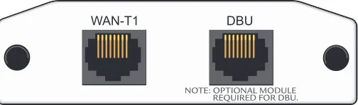 Figure 4.  NetVanta T1/FT1 NIM