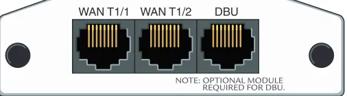 Figure 6.  NetVanta Dual T1 NIM