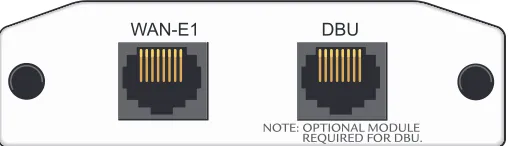 Table A-5 on page 46 for the pinouts. Refer to Table A-10 on page 49 for the DBU connector pinout