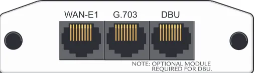 Figure 9.  NetVanta E1/FE1 with G.703 Drop NIM