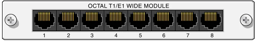Figure 10.  NetVanta Octal T1 Wide NIM