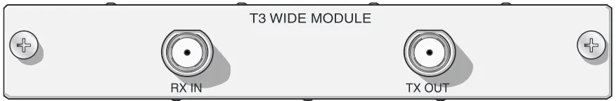 Figure 4.  NetVanta 5305 T3 Wide Module