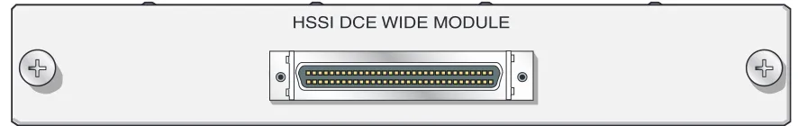Figure 5.  NetVanta HSSI Wide Module