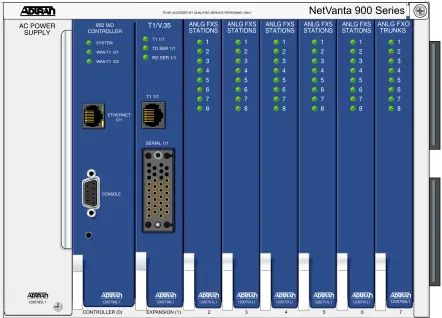 Figure 1 shows the NetVanta 950 front panel.