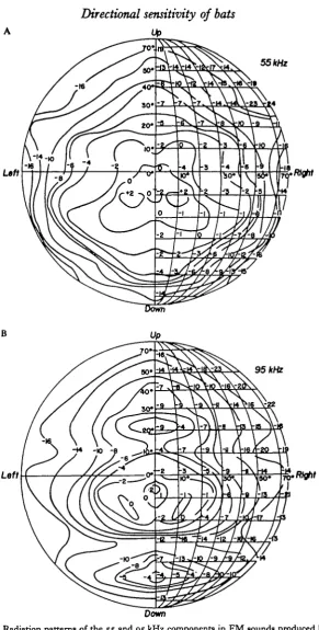 Fig. 3. Radiation patterns of the 55 and 95 kHz components in FM sounds produced by M.grisescens