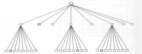 Figure 3.1  Representation of an Object with n = 2 (Modified after Gargantini 1989) 