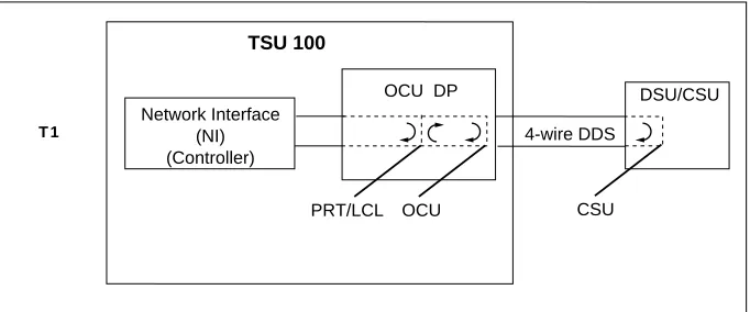 Figure 4.  Diagram of Loopbacks