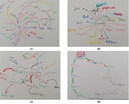 Figure 4. Concepts associated with the concept of nature 