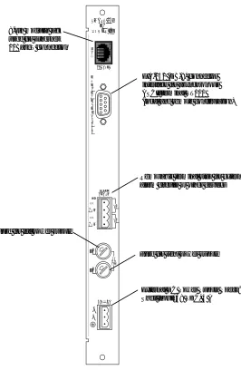Figure 5.  Single DC Version (4202023L7 Shelf)