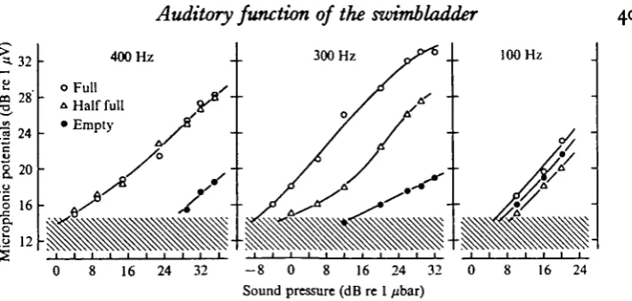 Fig. 3. Amplitude of saccular microphonic potentials as a function of sound pressure forthree different frequencies and swimbladder volumes