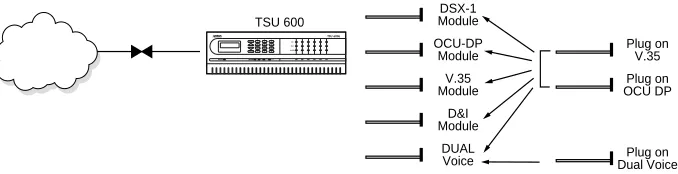 Figure 1-1.  TSU 600 Option Modules 