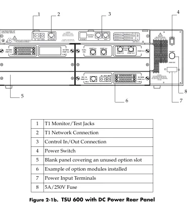 Figure 2-1b.  TSU 600 with DC Power Rear Panel