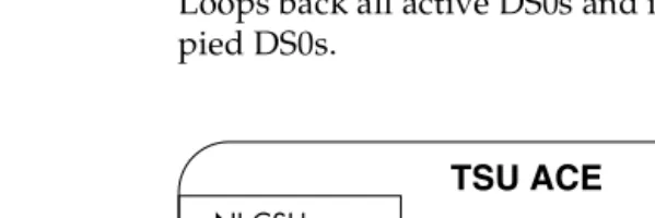 Figure 1-5.  DTE Interface Loopback
