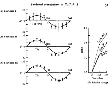 Fig. 10. Change in ocular compensation with age. Means and 95 %wise, (c) Year-class III; significantly increased amplitude on both aides of 180°.increase of slopes at o° and 180and offset as means for that group