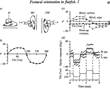 Fig. a. Properties of ocular compensation indicating otolith organ mediation.(a) Measurement of ocular compensation angle,vinyl caps does not abolish the response