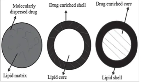 Table 1: List of excipients used in SLN8 