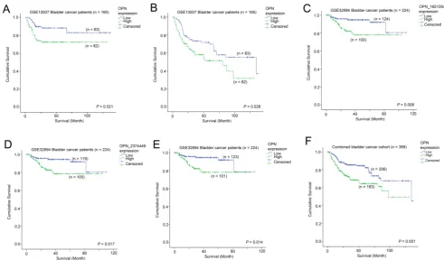 Figure 4. The association between OPN expression and survival. Kaplan-Meier analysis showing survival curves for patients whose tumor expressed a on (C) probe ILMN_1651354, (D) ILMN_2374449 and (E) combined OPN average in GSE32894