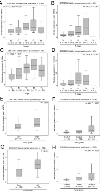 Figure 6. The association between expression levels of MMP9 and S100A8, and clinicopathological parameters