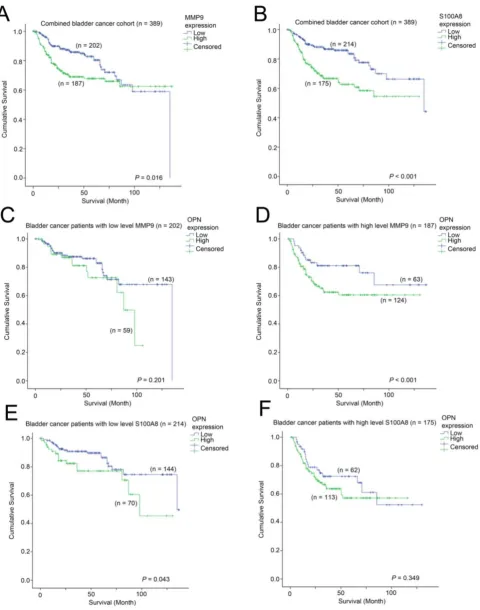 Figure 7. The association between MMP9, S100A8 and OPN with survival. Kaplan-Meier analysis showing survival curves for patients expressing different levels of OPN in bladder cancer patients whose tumor expressed (C) a low level of MMP9, (D) a high-level o