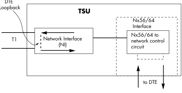 Figure 1-6.  DTE Interface Loopback