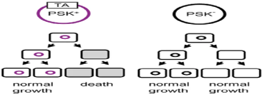 Figure 5. Vertical gene transfer among TA system. TA systems increase plasmid prevalence in growing bacterial populations by post-segregational killing (PSK) (from Melderen and Saavedra, 2009).