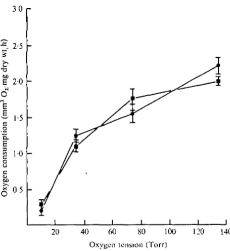 Fig. 4. Respiration of E.based on estimates for mean oxygen consumption adjusted to the interspecific grand mean brevis (•) and E