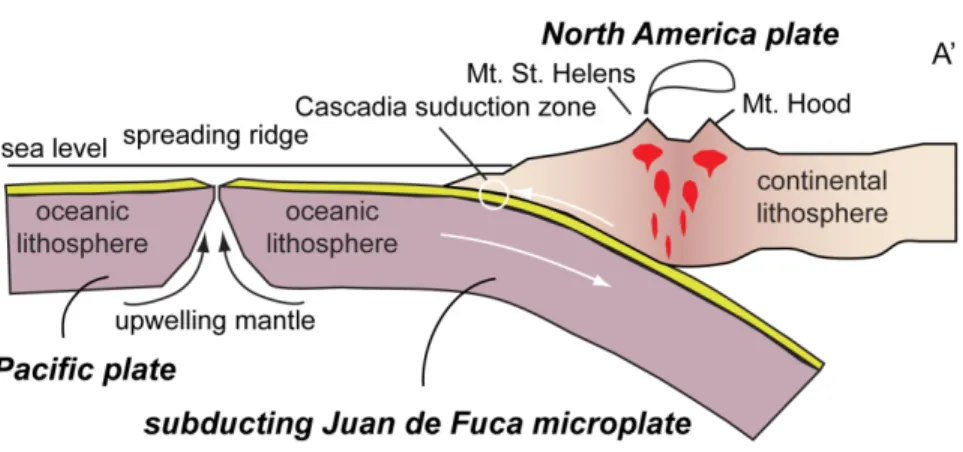 Figure 18.  Schematic cross section showing key tectonic features of NW United States.  See  Figure 17 for location. 