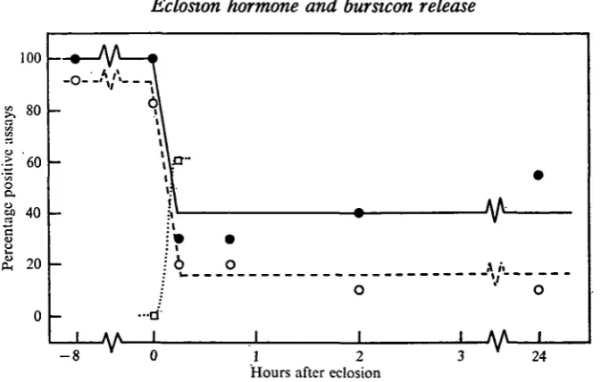Fig. 2. Changes in bursicon titre in ManducaAssays on the abdominal nervous system utilized 0-5 (•—•) or 0-25 (O — O) of the materialcontained in each nerve cord