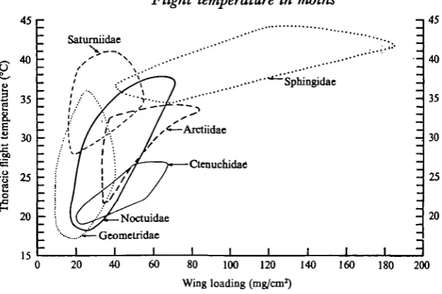 Fig. 9. The intercepts of the regression of mean thoracic flight temperature on wing loading(see Table 2) plotted against mean body weight for sir families of moths