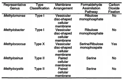 Table 1-3: Categorization of methanotrophic bacteria.            (Reference: Zahn, J. A.; Bacterial physiology and enzymology of the membrane- 