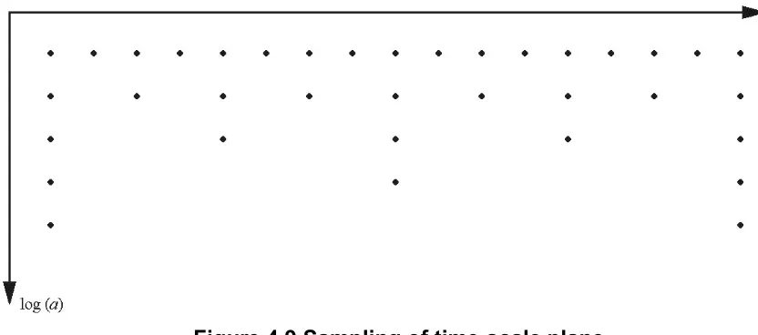 Figure 4.9 Sampling of time-scale plane 