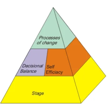 Figure 3: Graphic representation ofbehaviour adjustment psychology