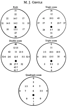 Fig. 3. A series of drawings of the retina looked at from the front of the eye showing theapproximate positions where the receptors were counted and the mean numbers present.