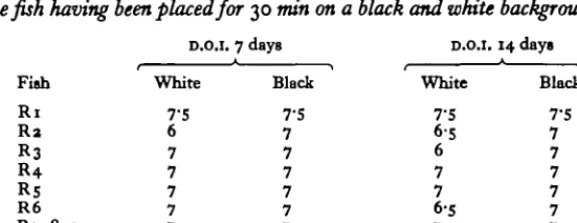 Table 2. The colour of thefih with ventraIretM removed at 7 ad 14 days afLtr operation, thefih hating beenplacedfor 30 min on a black or white background 