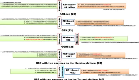 Figure 2. Examples of GWSS NGS library construction methods used to discover genome-wide representative variants, mainly SNPs, among individuals