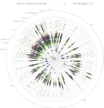 Figure 3.4 ‘level diversity of a major gut species Bacterial rose garden’ visualization applied to display the genomic sub-species Prevotella copri in human populations of the world (shown at the level of all geographic regions).