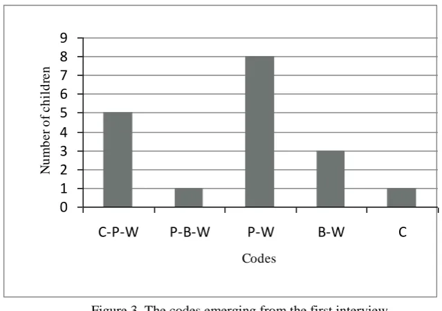 Figure 3. The codes emerging from the first interview 
