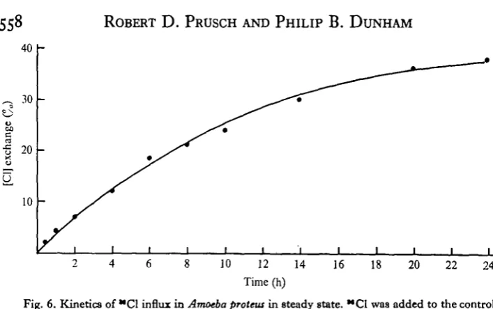 Table 2. Unidirectional influxes and percentage exchange of K, Na and Cl in the control 3 mM