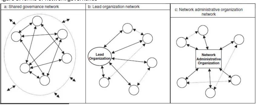 Figure 8: forms of network governance 
