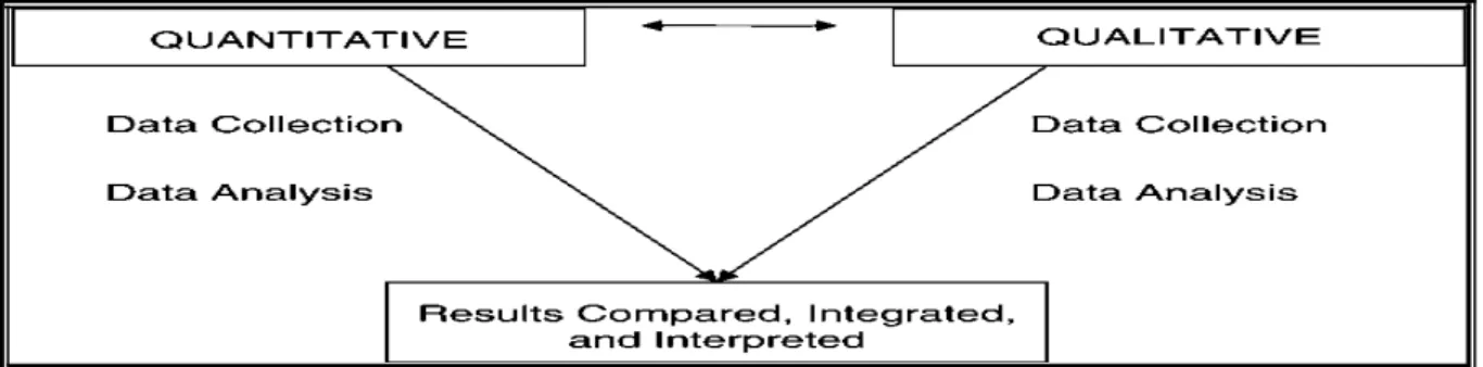 Fig 3: Triangulation model James et al. (2008:194)