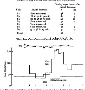 Fig. 5. Changes in heart rate and respiration rate in a tuna during a 'cough'. The shaded barindicates the' cough'