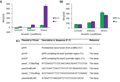 Figure 5.2 exaF modified yellow fluorescence protein, Venus as a fluorescent reporter (NagaiMP minimal medium with 0.4% succinate, 0.5% methanol, or 0.3% ethanol as the carbon source with (purple bars) and without (green bars) 2 µM lanthanum as previously 