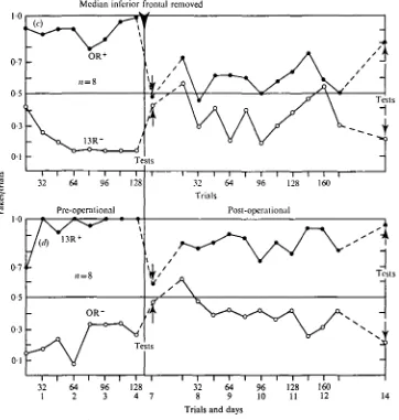 Fig. 2 shows the progress of learning to discriminate between OR and 13R for twoclasses of control animal: blinded but otherwise unoperated animals (n = 8, 4 trained