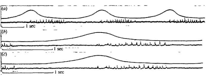 fig. iRecords of the strain developed on a single pleuron in intact preparations (PI. i, a, b) showed that a delay also existed between the end of electrical activity inthe muscle and the development of maximum tension; although in these preparationsthe de
