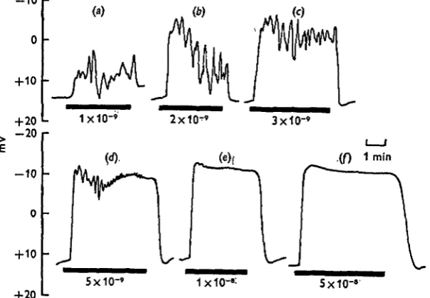 Fig. 7. The log dose-response relationship between 5-HT concentration and the secretory(O) and potential (0) responses expressed as a percentage of the maximal response to 5-HT.