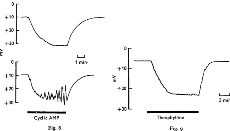 Fig. 8Fig. 9