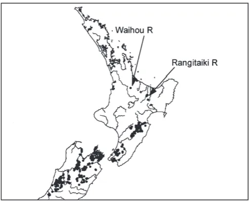 Figure 3. The dwarf galaxias (Galaxias divergens) is widespread across central New Zealand on both sides of Cook Strait